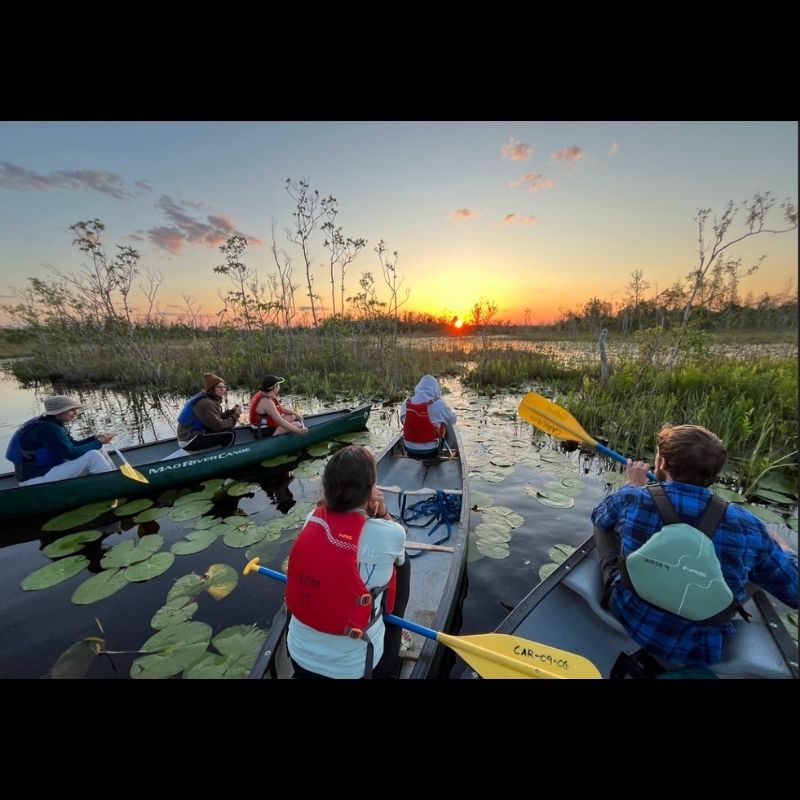 Okefenokee Canoe Trip - April 10-12, 2026