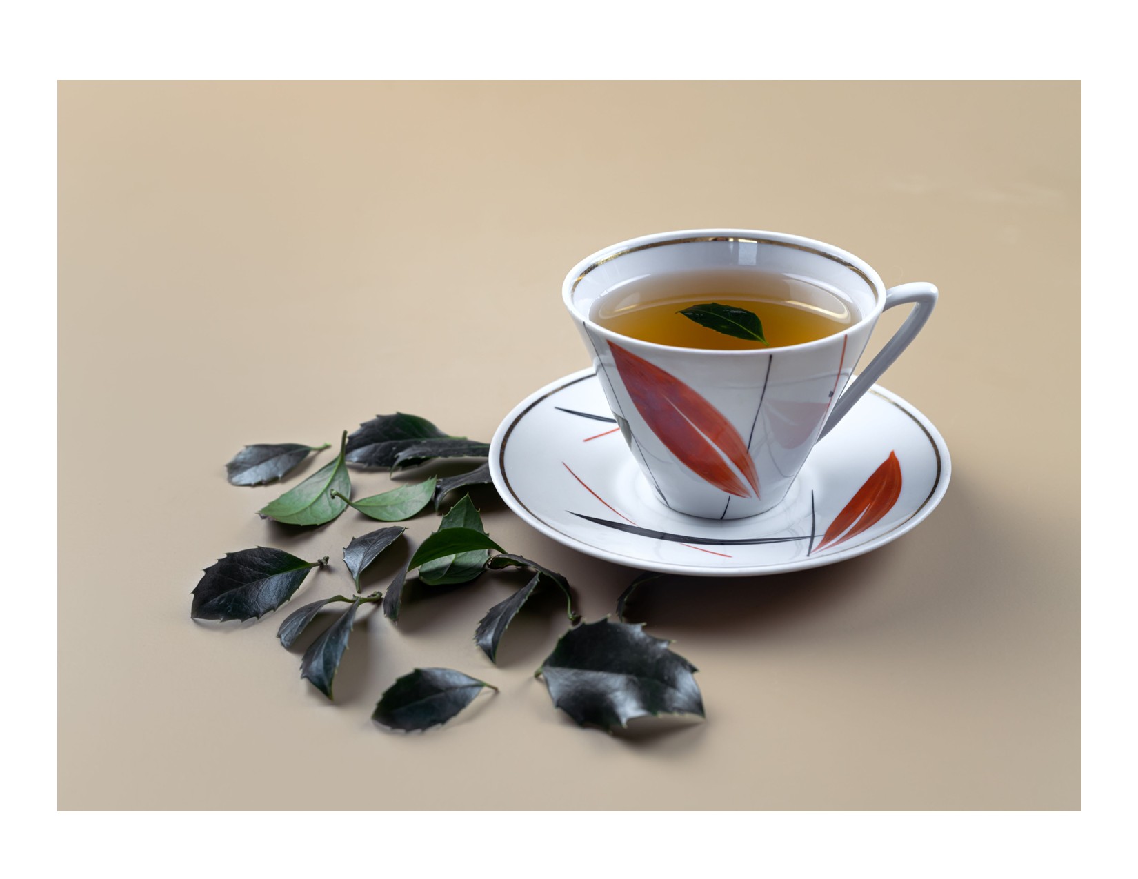 GATHER & GROW - The Yaupon Revival: Wild Caffeine and the Southern Landscape