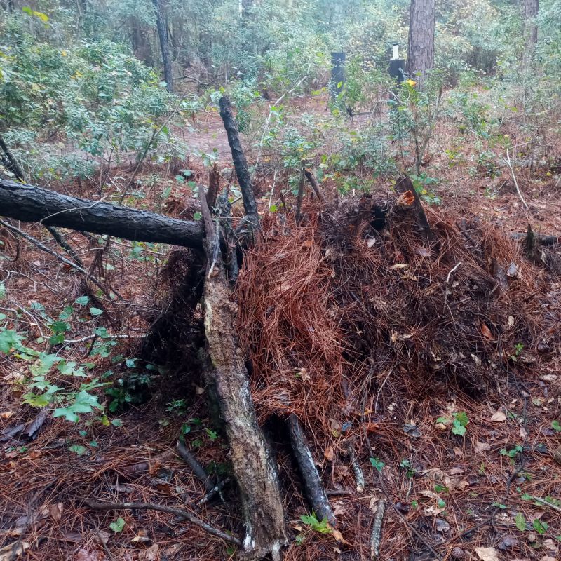 Shelter Building (Backcountry Week) - 5-7pm - October 6, 2025