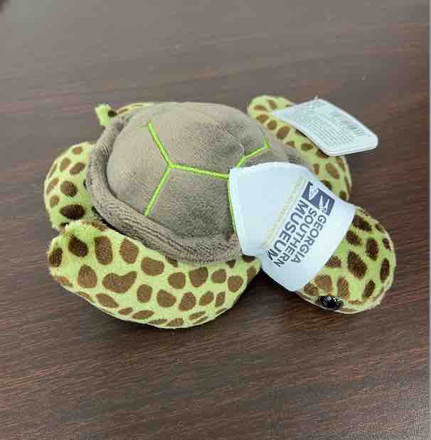 Mini Turtle