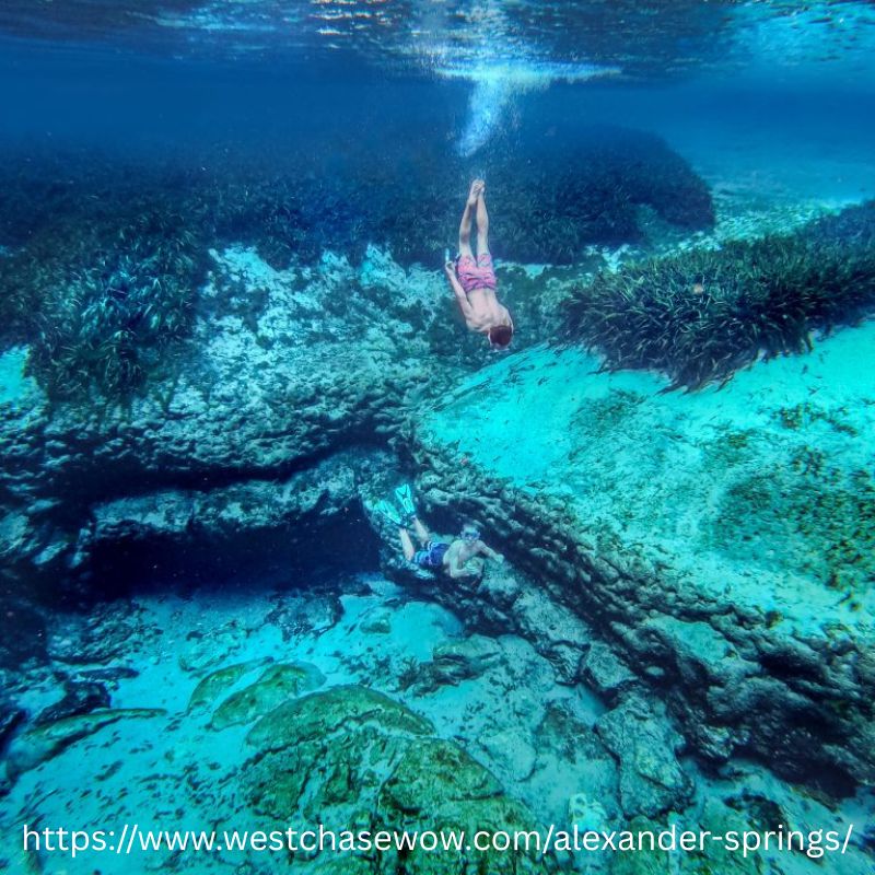 Snorkel and Paddling Trip - September 25-27, 2026