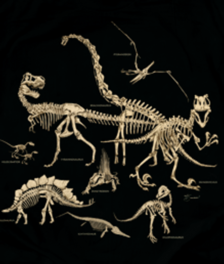 Dinosaur Bones Youth T-Shirt