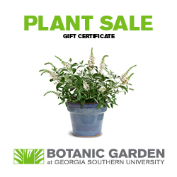 Plant Sale Gift Certificates