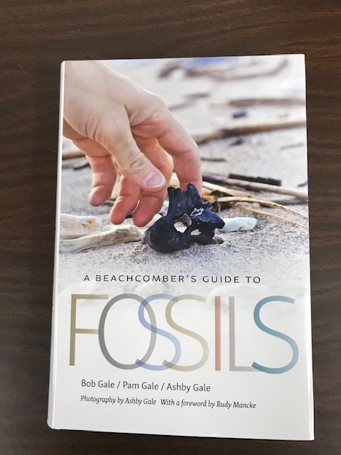 Beachcomber's Guide to Fossils