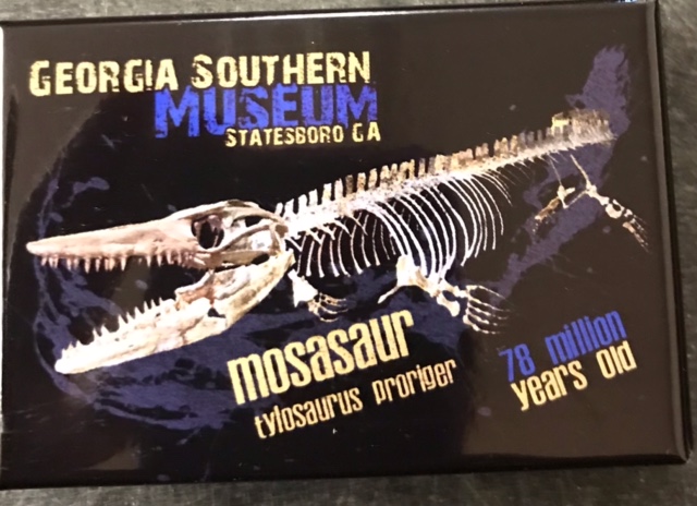 Magnet-Mosasaur Skeleton